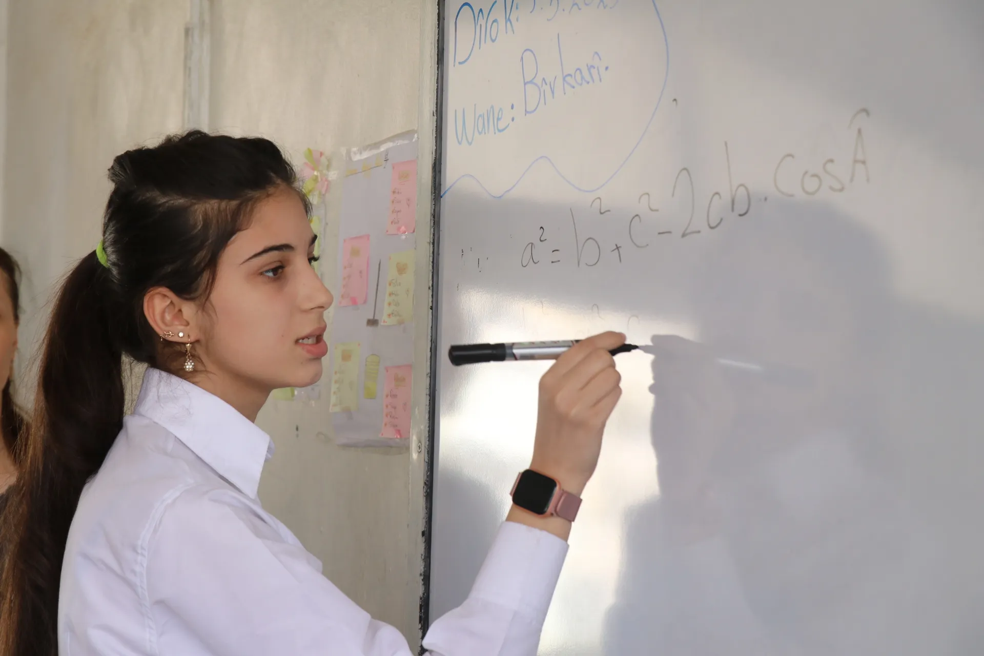 اللغة الكردية إحدى لغات الثورة