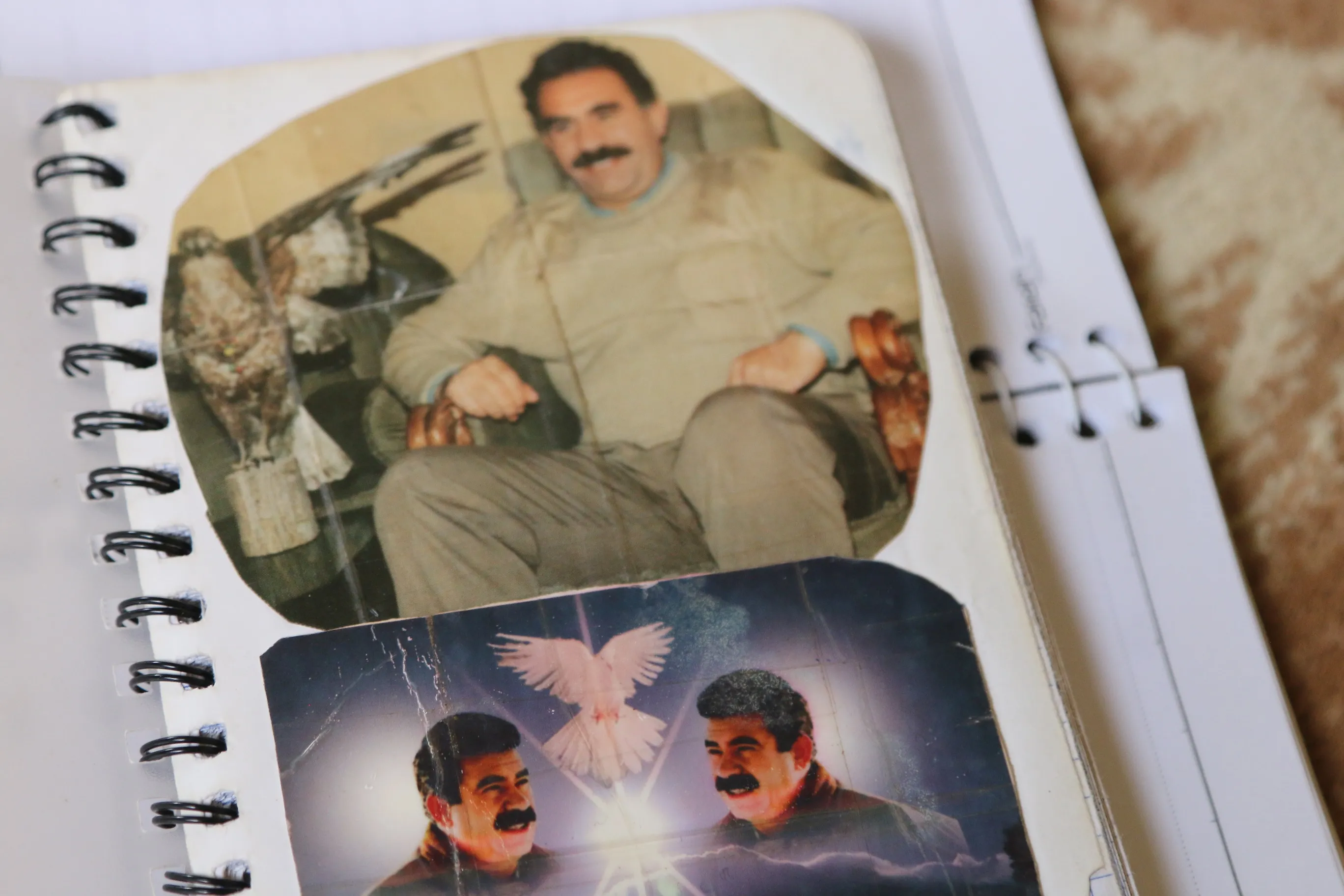 3 شابات طريق واحد وأمنية واحدة