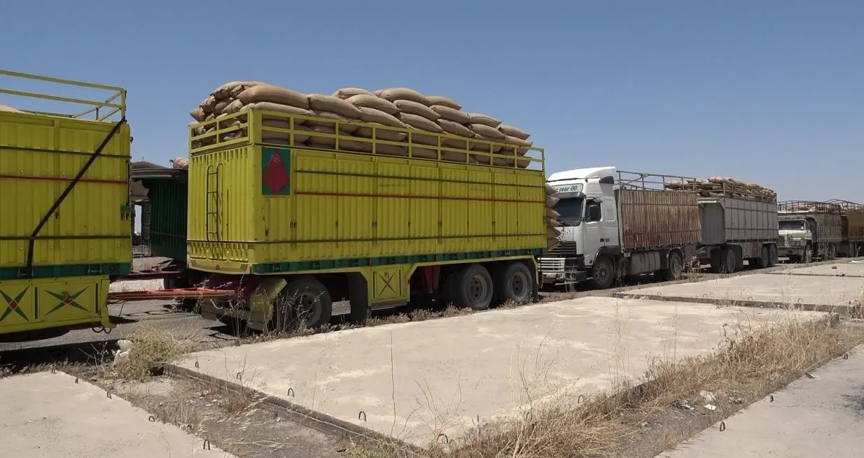​​​​​​​افتتاح مركز استلام جديد للقمح في الرقة وخطة لفتح آخر