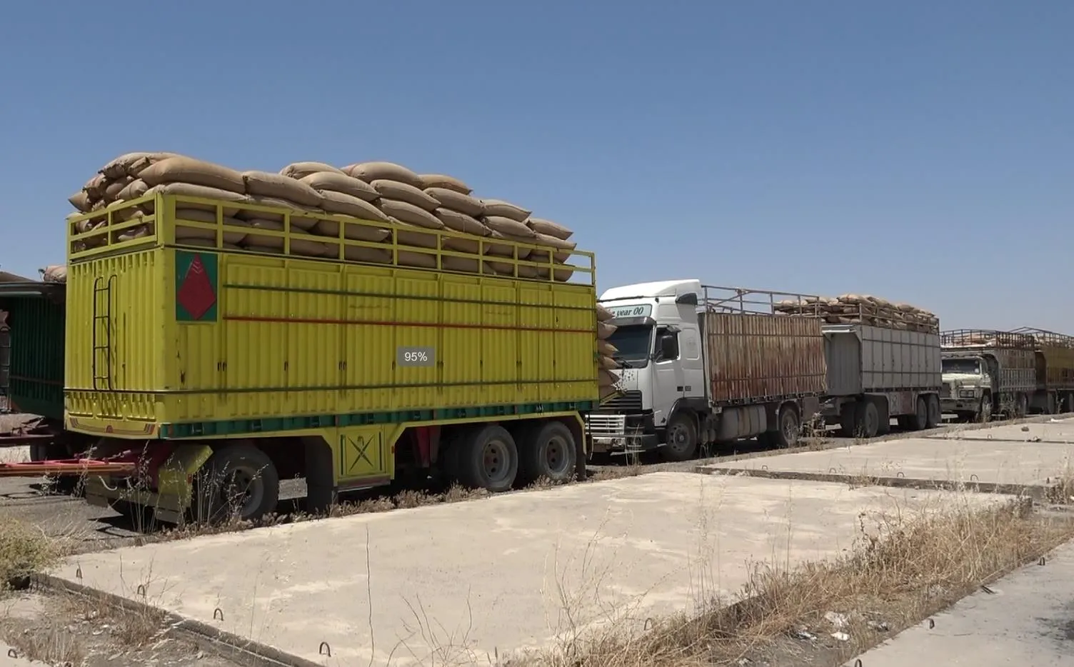 ​​​​​​​افتتاح مركز استلام جديد للقمح في الرقة وخطة لفتح آخر