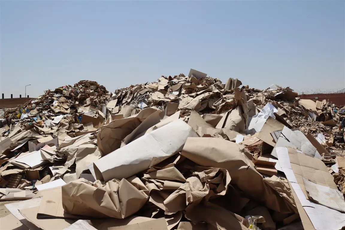 ​​​​​​​مصنع إعادة تدوير الكرتون.. خطوة تحفيزية لدعم المشاريع الاقتصادية