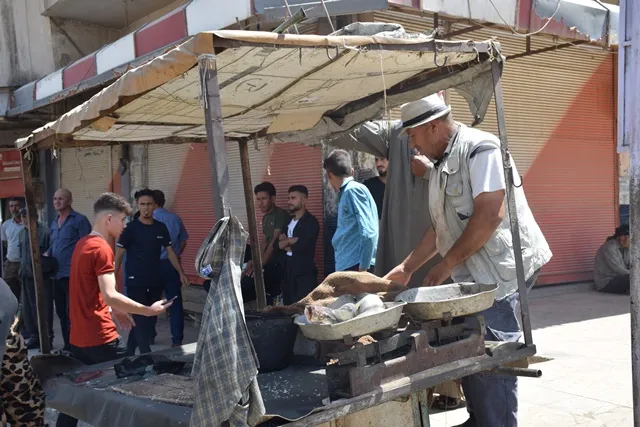 بائع السمك الوحيد مع عربته الخشبية الصغيرة