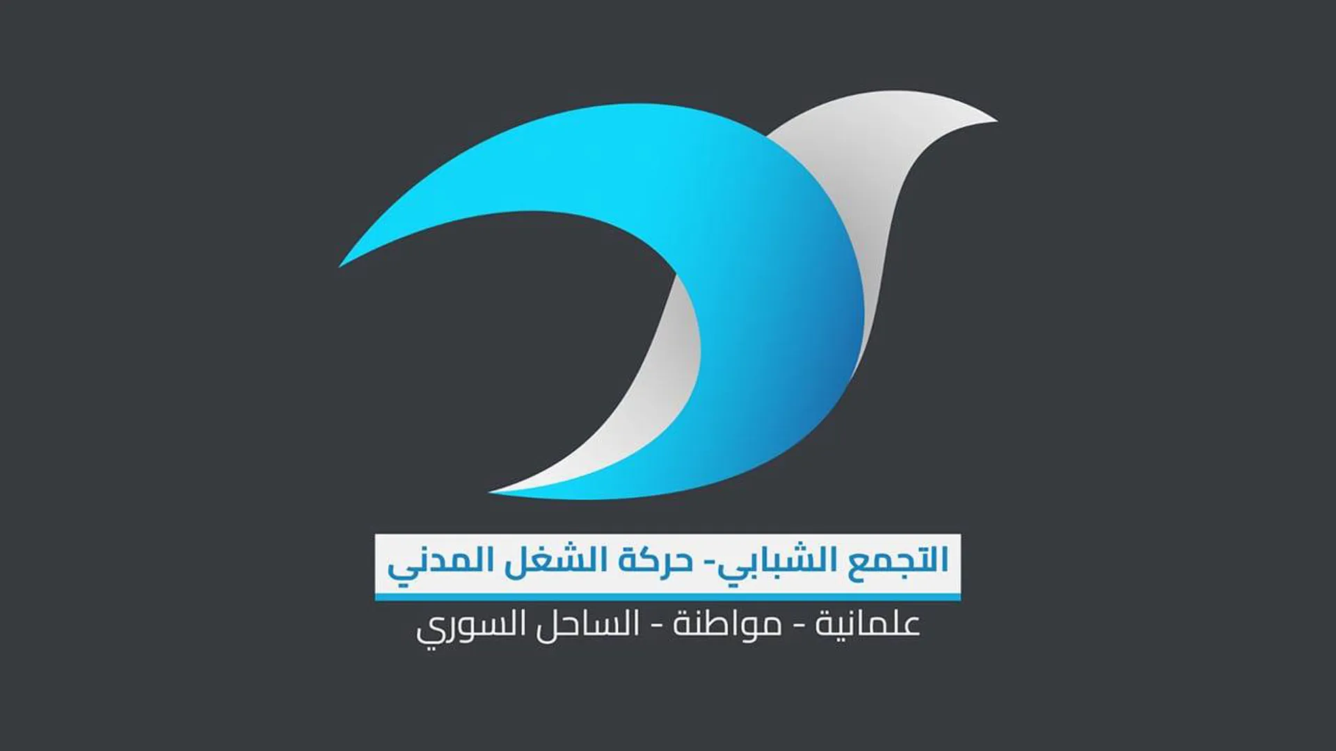 تحركات مشابهة لتلك المناهضة لسياسة حكومة دمشق عام 2011