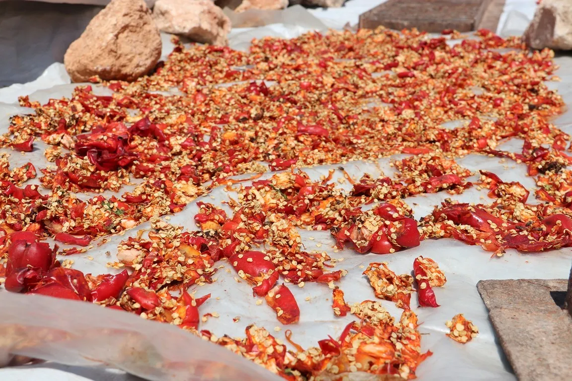 الاستعداد لاستقبال فصل الشتاء في الشهباء