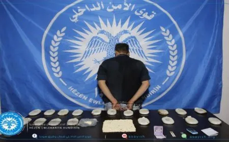 قوى الأمن الداخلي تلقي القبض على مهرّب للمواد المخدرة