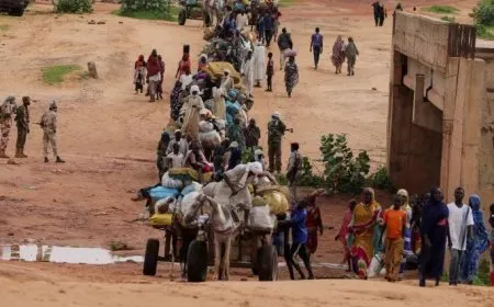 مسؤولة أممية: لا نزال نتلقى تقارير مروعة عن العنف الجنسي في السودان