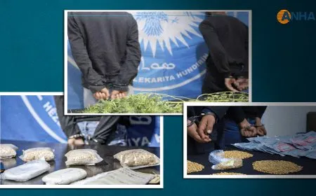 خلال شهر 62 مهرّباً ومروّجاً ومتعاطياً للمخدرات في قبضة قوى الأمن الداخلي