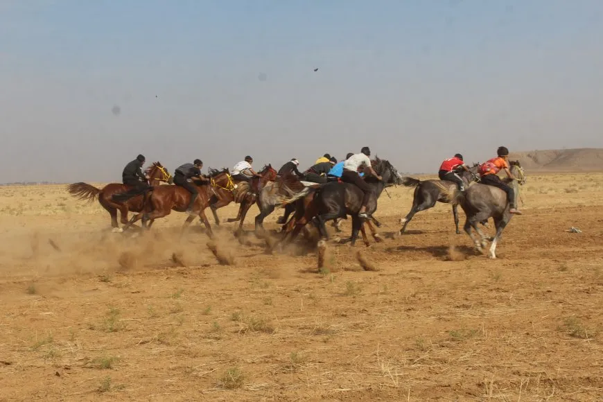 بمشاركة 70 خيلاً مهرجان للخيول العربية الأصيلة