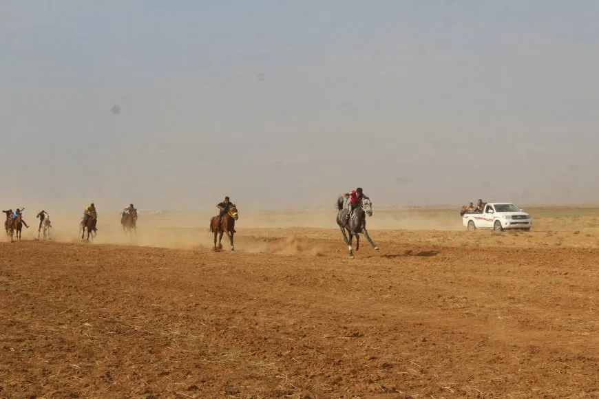 بمشاركة 70 خيلاً مهرجان للخيول العربية الأصيلة