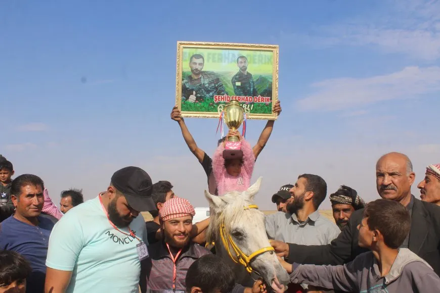 بمشاركة 70 خيلاً مهرجان للخيول العربية الأصيلة