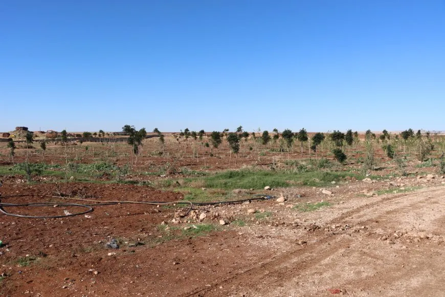مبادرة بيئية في قامشلو استكمالاً لمشروع تحويل مكب لغابة اصطناعية