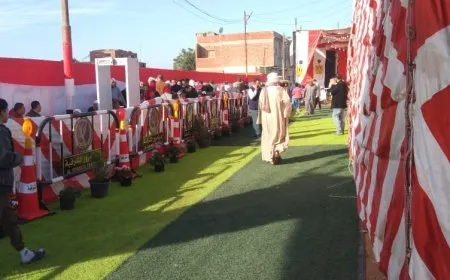 وكالتنا ترصد بالصور الانتخابات الرئاسية المصرية