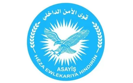 17 مجرم في قبضة قوى الأمن الداخلي