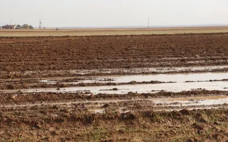 فرص ضعيفة لهطل زخات من المطر فوق شمال وشرق سوريا
