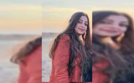 استشهاد الشابة بيريفان محمد جراء الهجوم الوحشي التركي