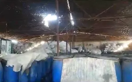 الاحتلال التركي يستهدف معمل روهلات للزيتون في عامودا