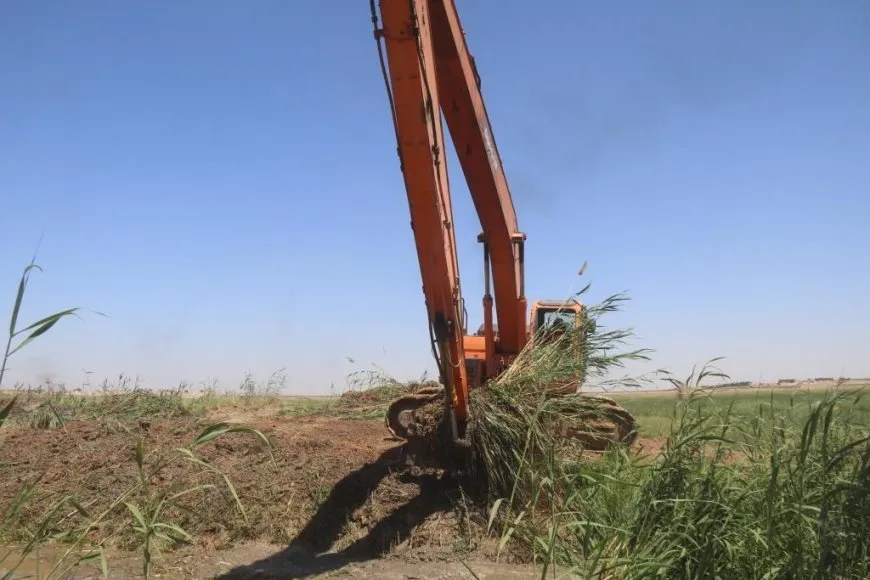 تملح التربة في الرقة يهدد الإنتاج الغذائي والبيئة