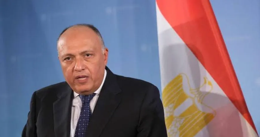 وزير الخارجية المصري: الدول المطلة على البحر الأحمر تتحمل مسؤولية حمايته