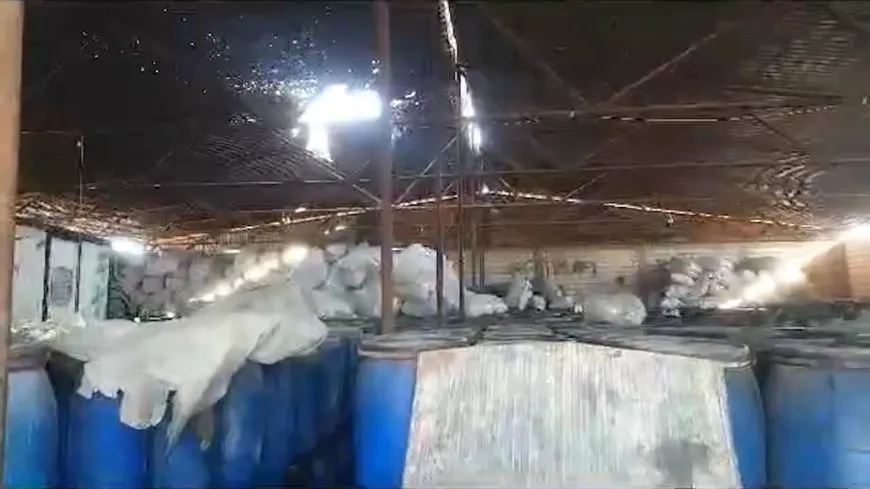الاحتلال التركي يستهدف معمل روهلات للزيتون في عامودا