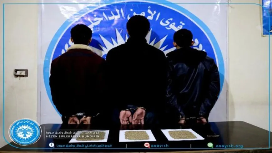 ضبط 15 ألف بذرة حشيش في الطبقة