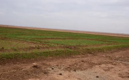 سياسات الاحتلال تؤثر على مناحي الحياة والمزارعون يتضررون