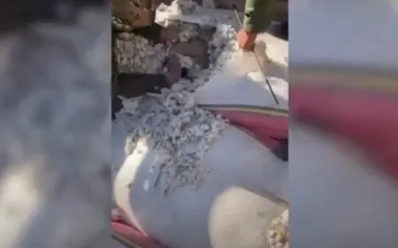 قوى الأمن الداخلي تُفشل محاولة إدخال أسلحة إلى الرقة