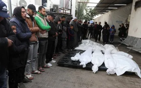 مقتل وإصابة أكثر من 87 ألف شخص منذ بدء الحرب بين إسرائيل وحماس