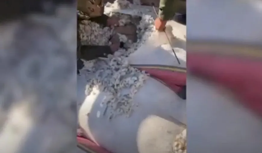 قوى الأمن الداخلي تُفشل محاولة إدخال أسلحة إلى الرقة