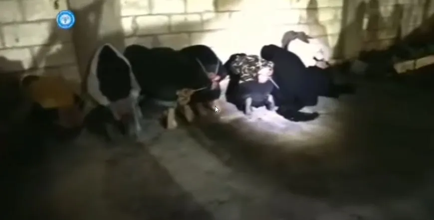 اعتقال 31 مرتزقاً ومتعاوناً في مخيم الهول
