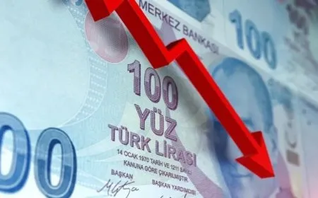 الليرة التركية تهوي إلى مستوى تاريخي جديد