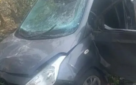 استهداف سيارة جنوب لبنان يُعتقد أنها عائدة لمسؤول في حزب الله