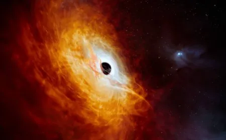 علماء يكتشفون جسماً قادراً على التهام شمس يومياً