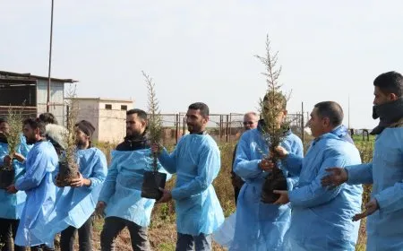 جمعية الجدائل الخضراء توزع الأشجار في مدارس  تربه سبيه