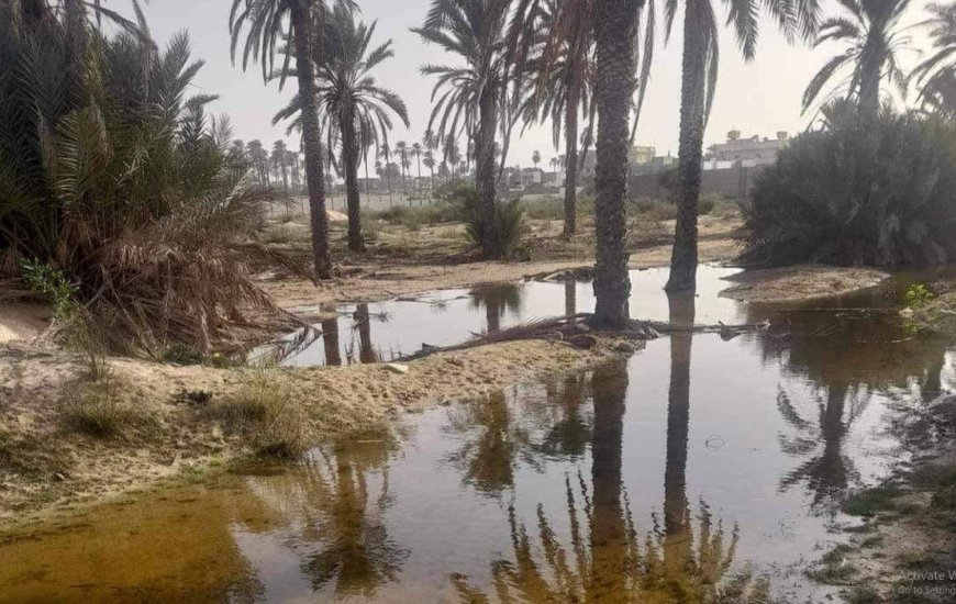 البرلمان الليبي يعلن مدينة زليتن منطقة منكوبة