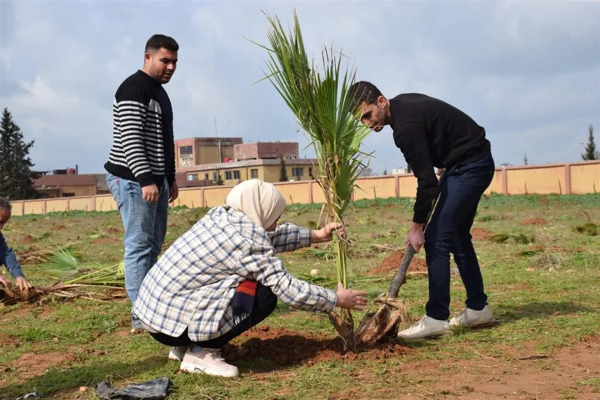 البدء بزراعة 1000 شجرة في ناحية الدرباسية 