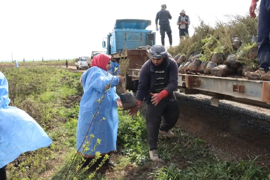 جمعية الجدائل الخضراء توزع الأشجار في مدارس  تربه سبيه