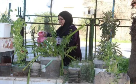 أمل الورد و28 عاماً