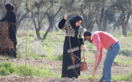 مشروع زراعة 10 آلاف شجرة في الطبقة انتهى من زراعة 1100 غرسة