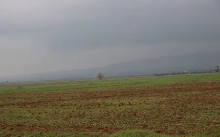 الجو غائم ماطر ودرجات الحرارة إلى انخفاض