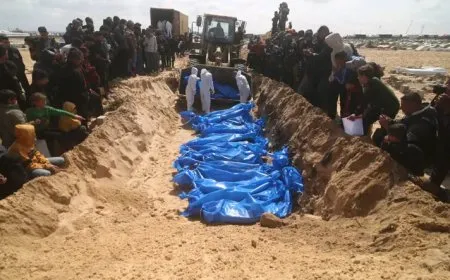 31 ألف قتيل فلسطيني منذ 7 تشرين الأول
