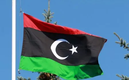 الرئاسات الليبية الثلاث ترفض التدخلات الخارجية