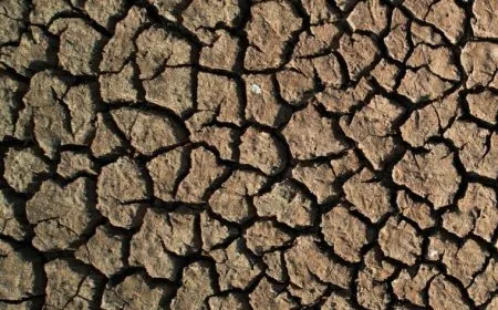 تقرير يحذر: أوروبا قد تواجه أوضاعاً "كارثية" ما لم تقيّم المخاطر المناخية