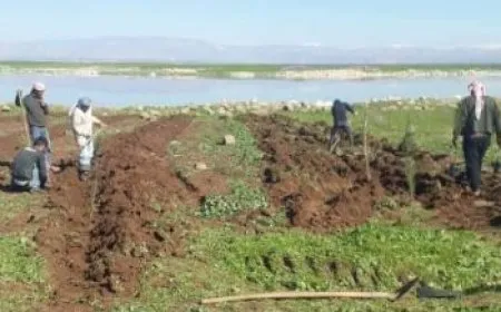 لجنة بيئية تستمر في أعمال زيادة الغطاء النباتي في ديرك