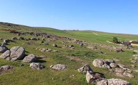 تجدد الطبيعة في قرى آليان بمقاطعة الجزيرة