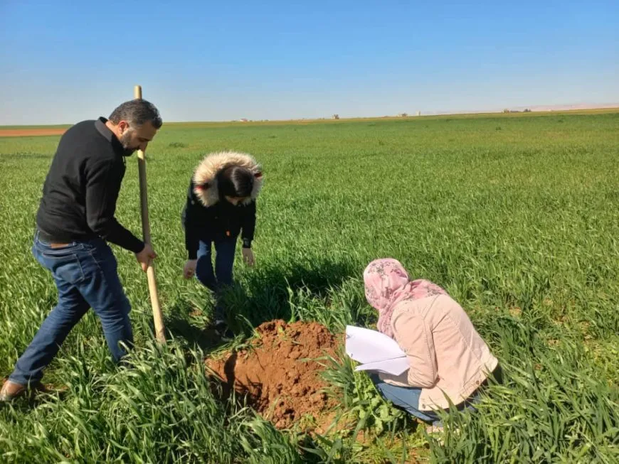 زراعة وريّ الإدارة الذاتية تقيّم واقع مزروعات العام في إقليم شمال وشرق سوريا