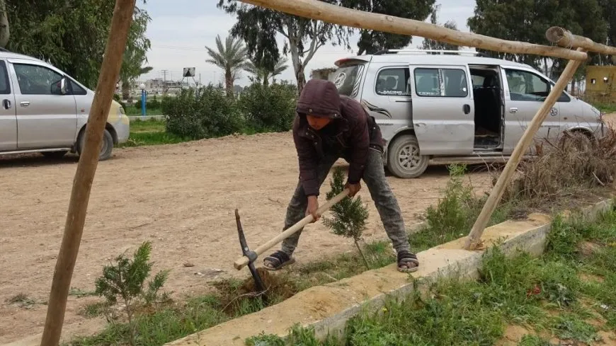 زراعة 100 شجرة داخل ملعب الفروسية في الرقة