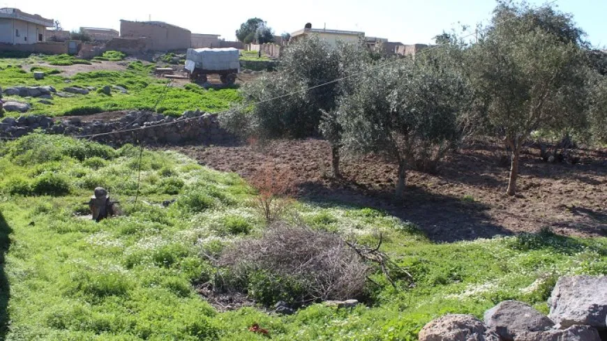 تجدد الطبيعة في قرى آليان بمقاطعة الجزيرة