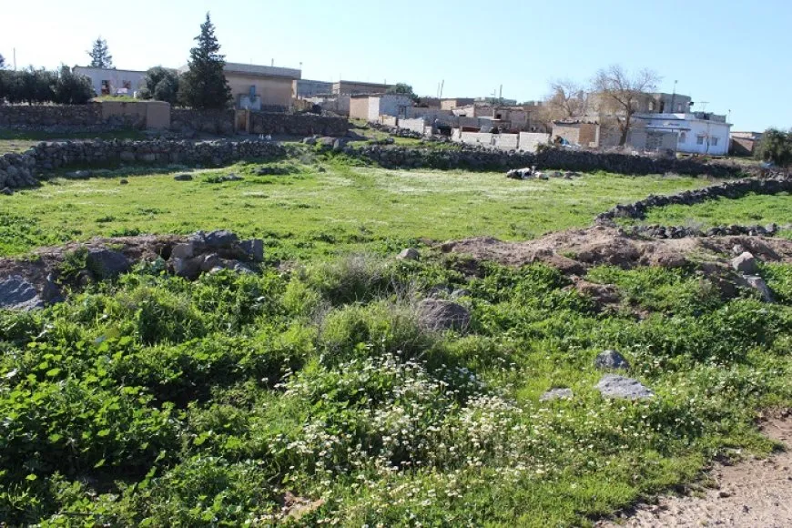 تجدد الطبيعة في قرى آليان بمقاطعة الجزيرة