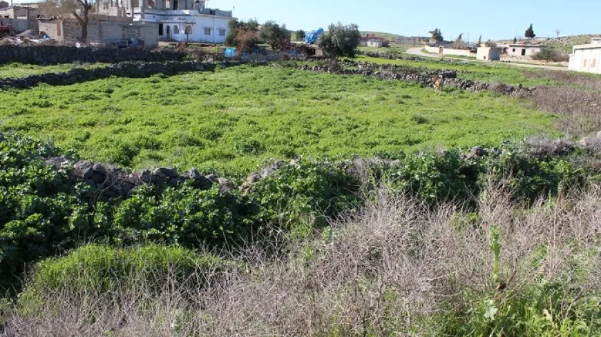تجدد الطبيعة في قرى آليان بمقاطعة الجزيرة