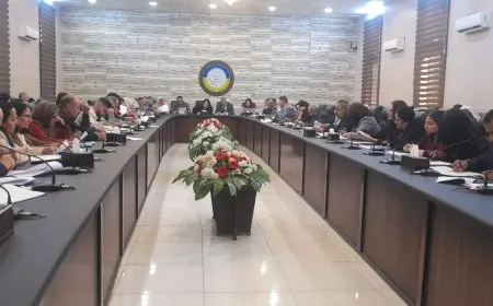 نص قانون العفو العام للإدارة الذاتية الديمقراطية لإقليم شمال وشرق سوريا